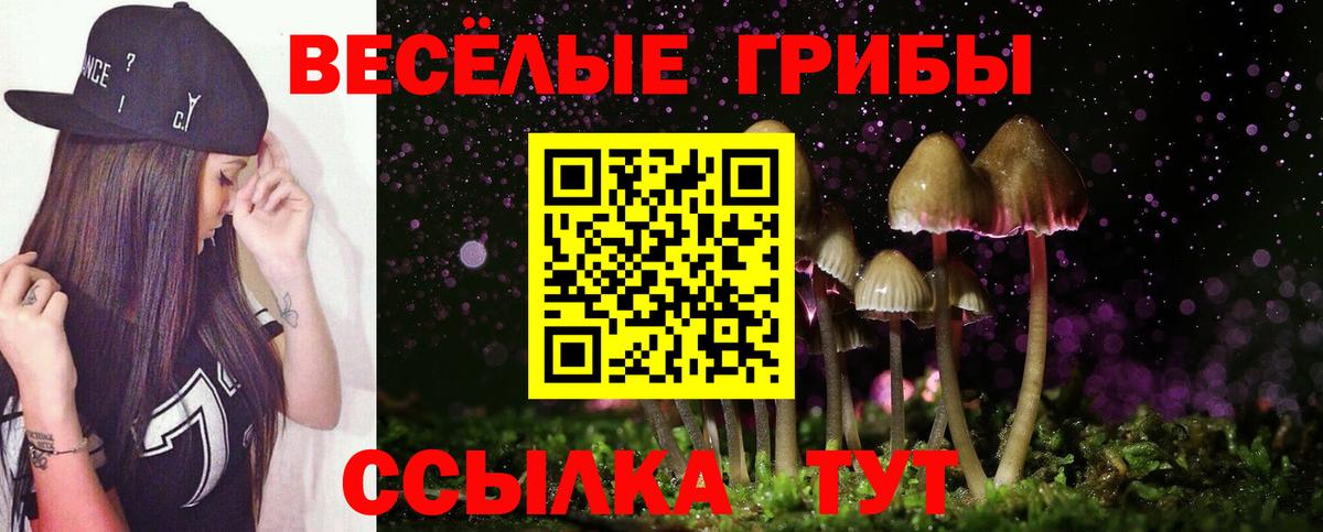 Псилоцибиновые грибы мицелий Коммунар